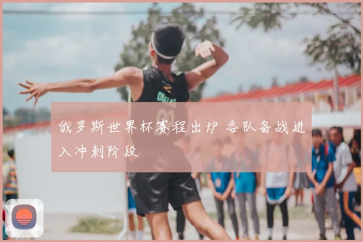 俄罗斯世界杯赛程出炉 各队备战进入冲刺阶段