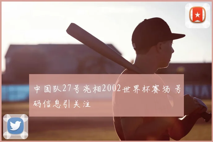 中国队27号亮相2002世界杯赛场 号码信息引关注