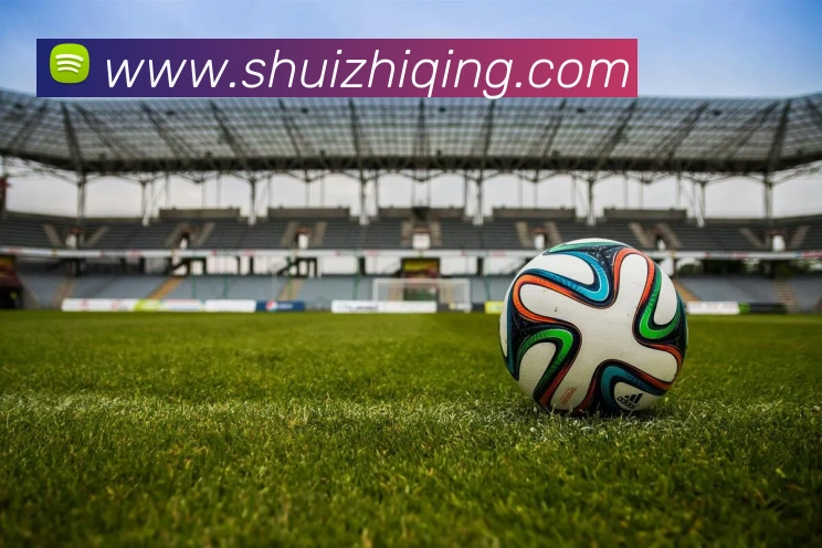 bsports中国官网平台生态图