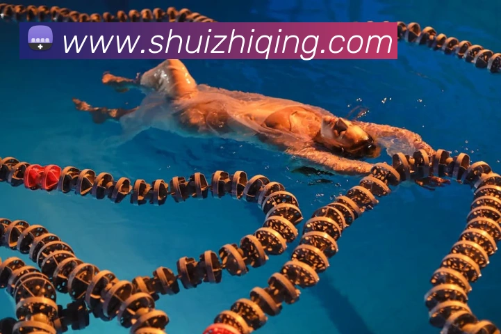 bsports中国官网APP 封面图